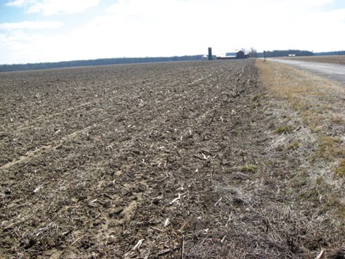Property photo 12 - 127 Acres Offered in 4 Tracts